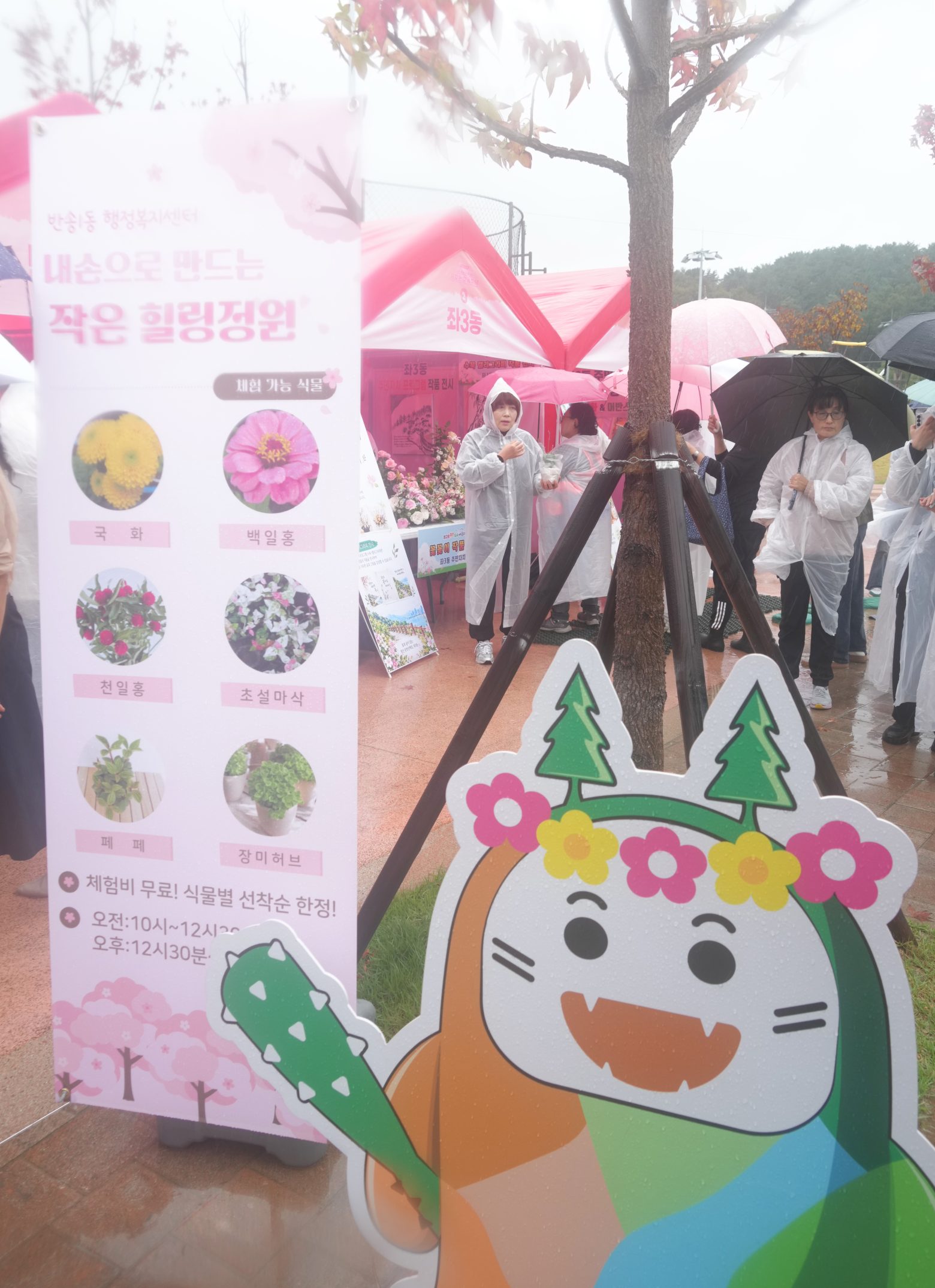 261024-꿈꾸는 마을 축제(2)
